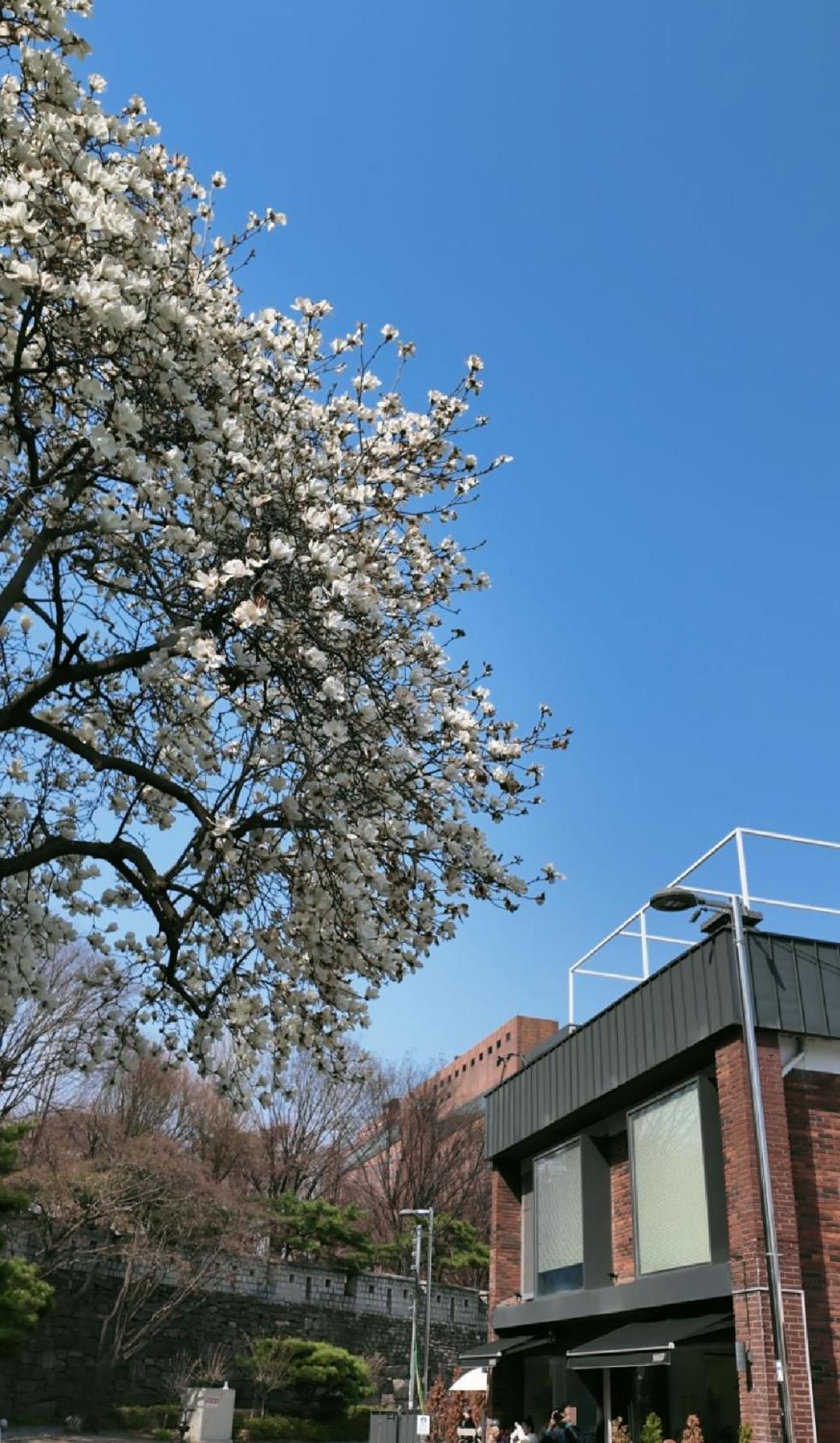 Namsan 公寓 *